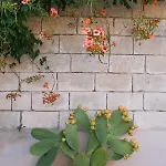 Terra D'otranto Frühstückspension