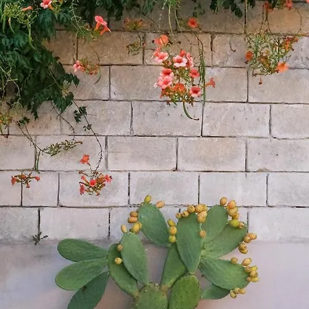 Terra D'otranto فندق مبيت وإفطار