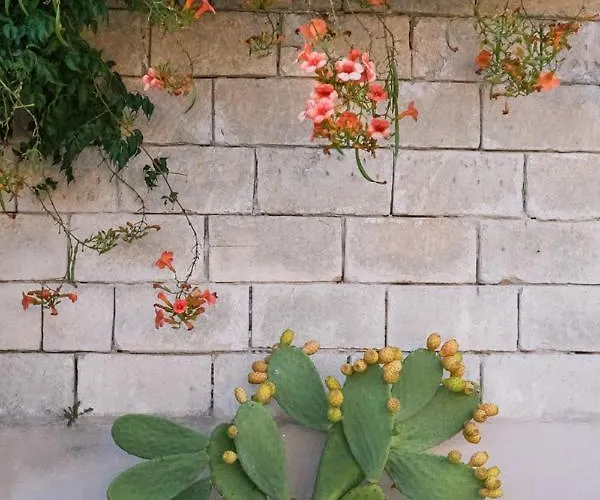 Terra D'otranto לינה וארוחת בוקר